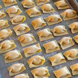 The image for Pasta Extravaganza!